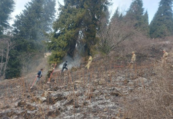 Ликвидировано загорание сухостоя в ущелье «Алма Арасан»