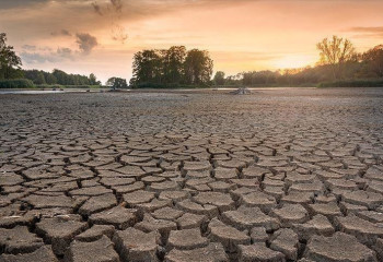 Negative trend in climate change to continue till 2060s 'anyhow': WMO head