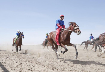 Чемпионат страны по байге прошел в Кызылординской области