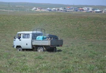 В Туркестанской области ведется химобработка против марокканской саранчи