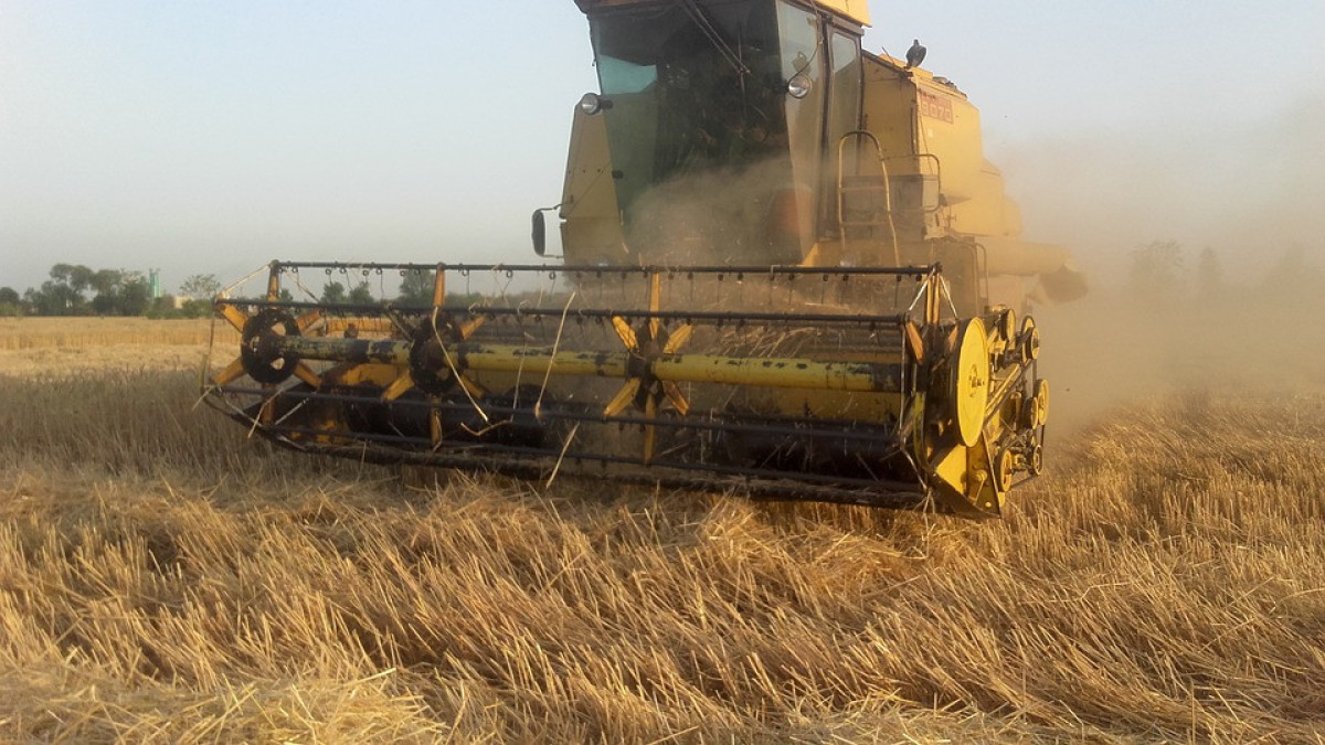 «Серые» импортеры продавали российское зерно в Узбекистан под видом казахстанского