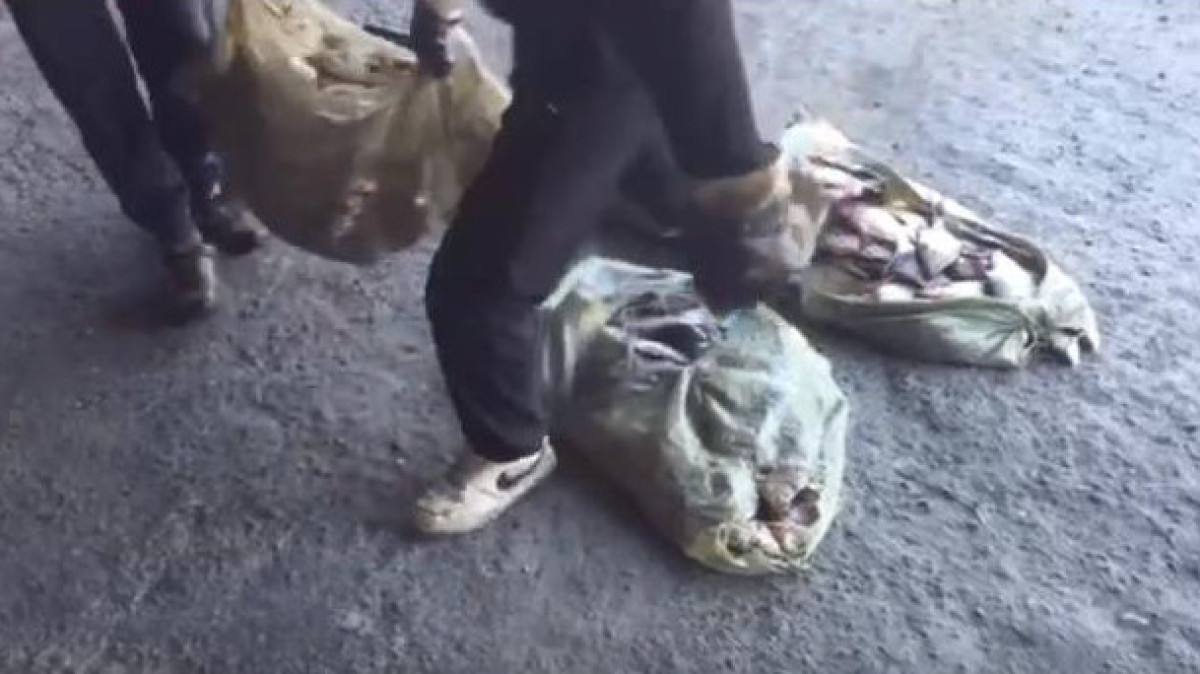 Набитый рыбой бусик задержали полицейские в Жетысуской области