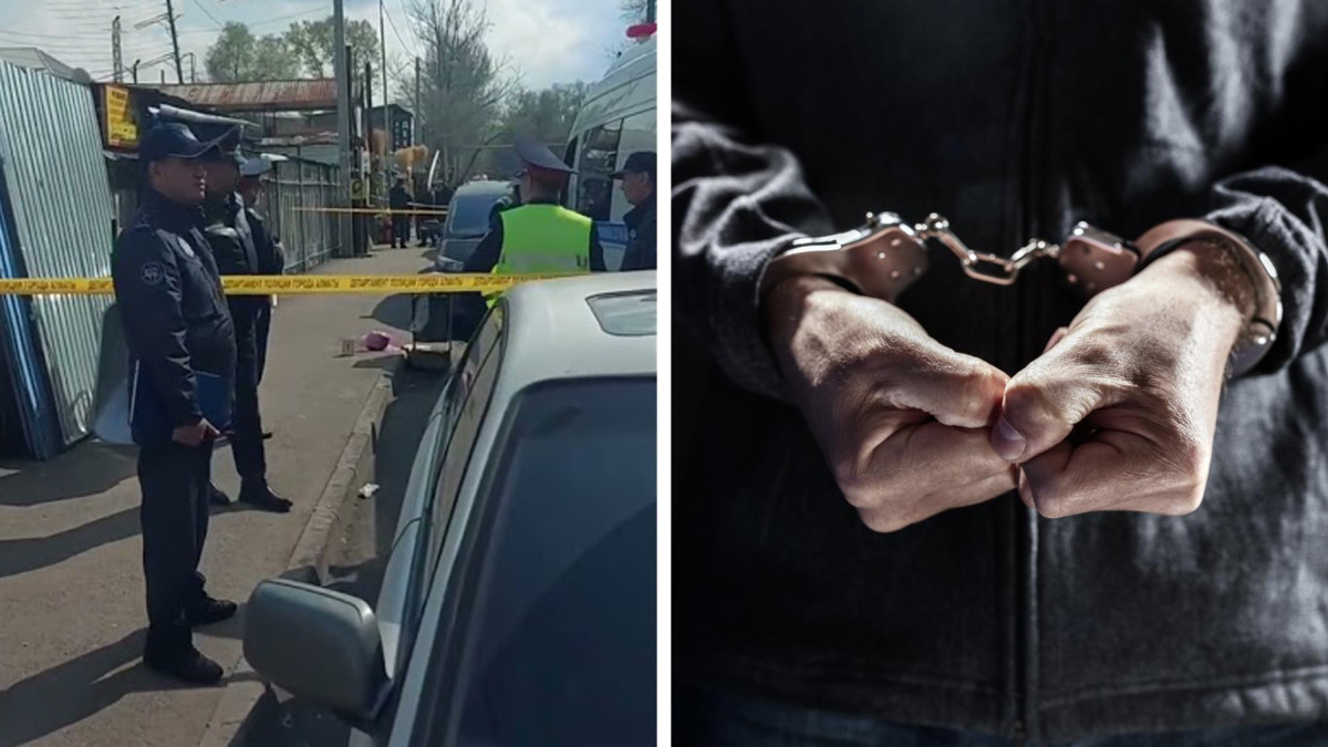  Видеодан кадр / © iStock 