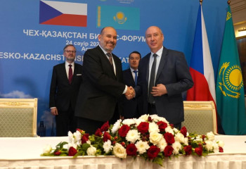 Казахстан выразил готовность в реинтродукции лошадей Пржевальского