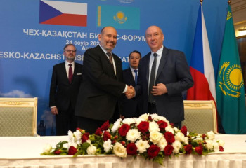 Kazakhstan expressed readiness to reintroduce Przewalski's horses