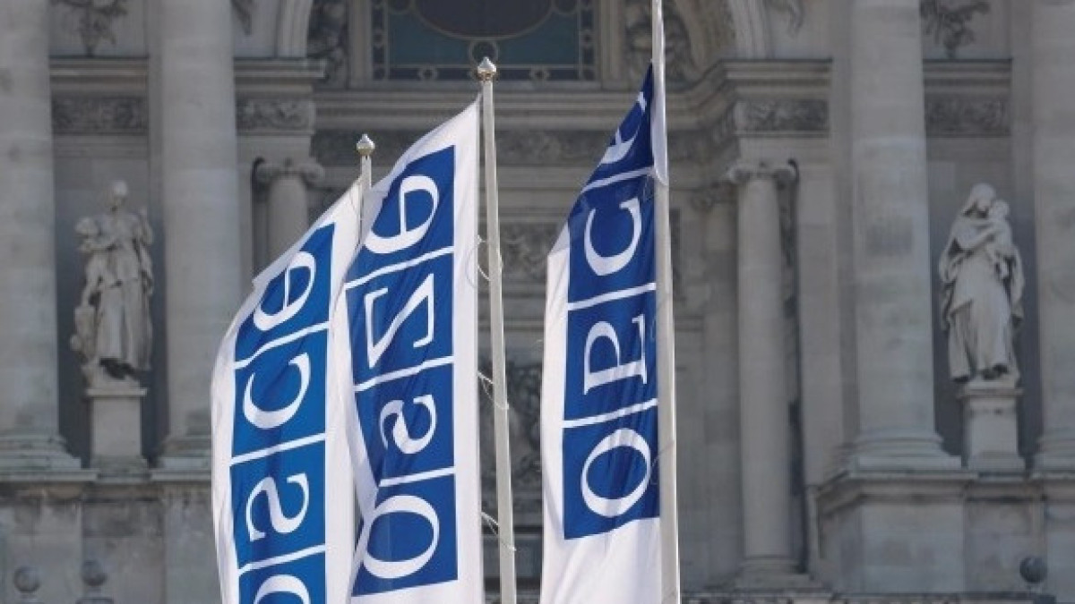 Ассамблея ОБСЕ придаёт важное значение сотрудничеству с Казахстаном