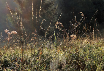 Ждет ли казахстанцев засуха в мае, рассказали синоптики