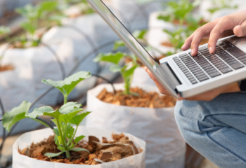 В правила субсидирования повышения урожайности внесены изменения