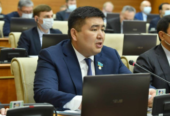 Мәжілісмен Ауғанстанмен серіктестік орнатудың тиімді тұстарын атады