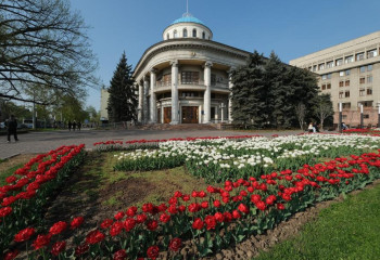 На 185 тысячах квадратных метрах газонов посадят цветы в Алматы