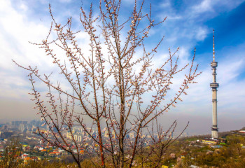 Алматыда жер сілкінді