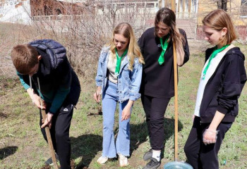 Аллея школьного самоуправления появилась в Шахтинске