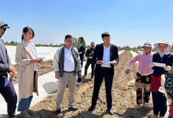 Туркестанские активисты приступили к поиску молодых людей категории NEET