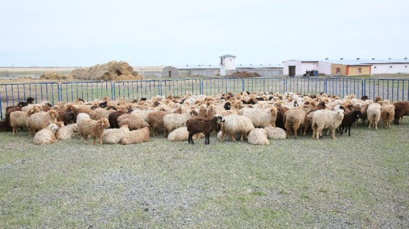  пресс-служба акима Актюбинской области 