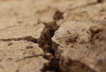 Историческая засуха в Испании и Италии длится несколько лет