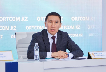 Веб-портал государственно-частного партнерства запустят в Казахстане