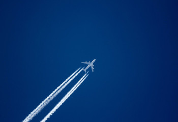 Ташкентке жаңа әуе рейсі ашылды