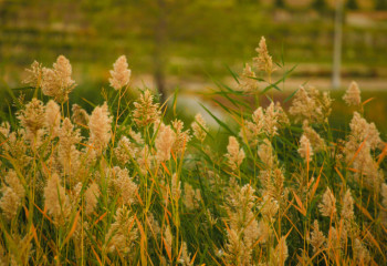 Еліміздің бірқатар өңірінде ауа райына байланысты ескерту жарияланды