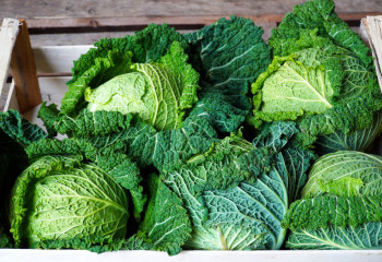 Өзбекстаннан қырыққабатты 130 теңгеден алатын болдық - Жұманғарин