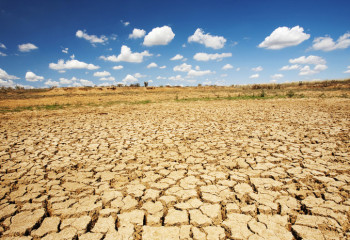 Қызылорда облысында құрғақшылық болады – Қазгидромет