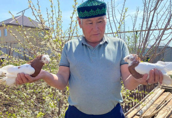 Клуб голубеводов открыли актюбинские железнодорожники