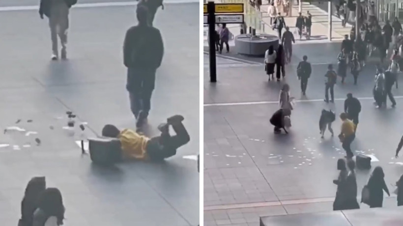  Видеодан кадр 