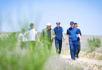 Вокруг Туркестана увеличивается зеленая зона