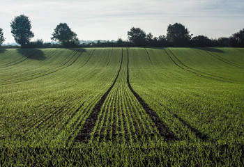 133,8 млрд тенге выплачено казахстанским фермерам на посевную