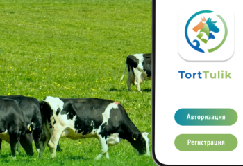 Мобильное приложение для владельцев скота разработали в Минсельхозе