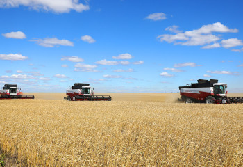 Более 25 тысяч казахстанских фермеров подали заявки на субсидирование через Gosagro