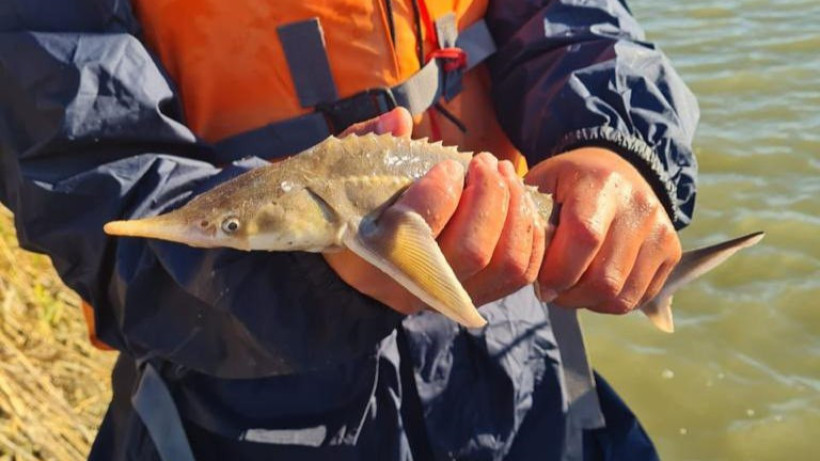  Пресс-служба КНБ РК 