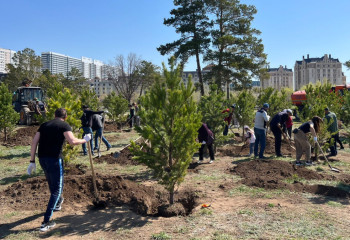 Астанадағы Салтанат Рахымбекова атындағы аллеяда ағаш көшеттері отырғызылды