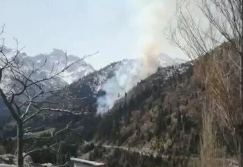 В Медеу на склоне горы вспыхнул пожар