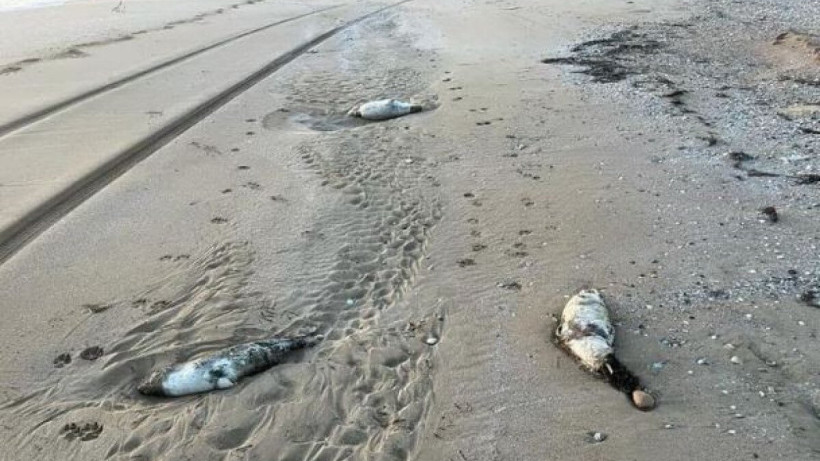  МО Экология департаменті 