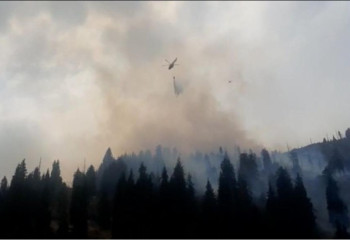 Алматыда адам өліміне әкелген өрттің жайы туралы тың дерек айтылды