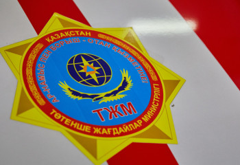 Горящий камыш пришлось тушить вручную в Павлодарской области