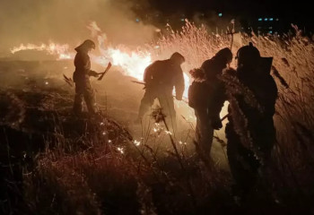 Павлодарда өрісте шыққан өрт техникасыз сөндірілді