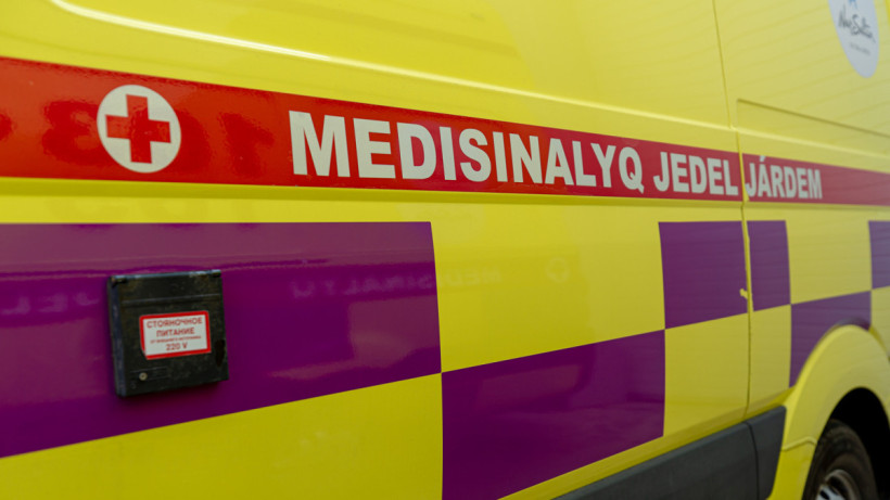  ©El.kz/Артем ЧУРСИНОВ 