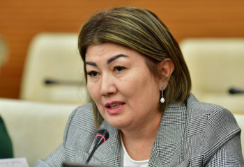 Депутат Нұргүл Тау елімізде электронды темекіні сатуға толығымен тыйым салуды ұсынды