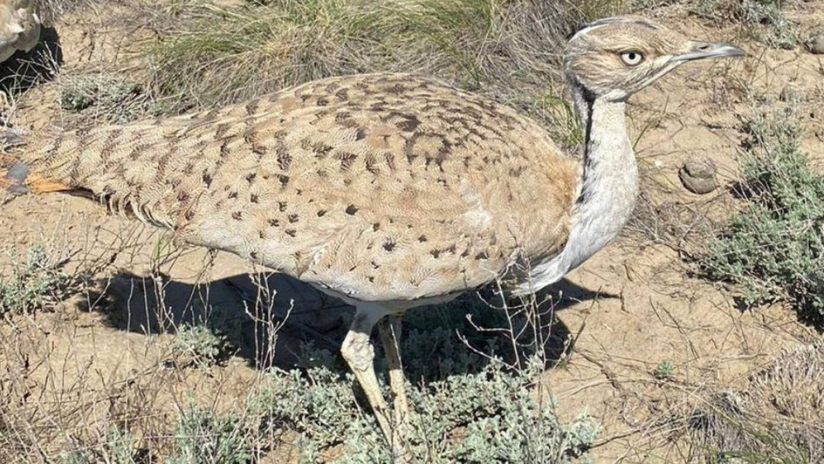  Министерство экологии и природных ресурсов РК 