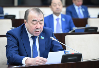 Рұқсаты жоқ интернет ресурстарға тосқауыл қажет - сенатор