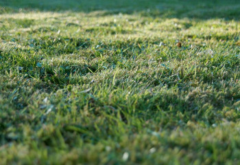 Петропавлда құны 172 миллион теңге тұратын жер мемлекетке қайтарылды