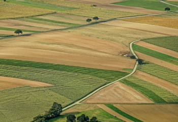Елімізде жария кадастрлық карта жүйесі енгізіледі