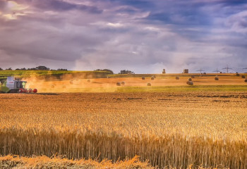 Kazakhstan intends to export up to 1 million tons of grain per year to China