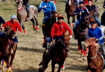 TOP-5: Еліміздегі ең танымал спорт түрлері қандай?