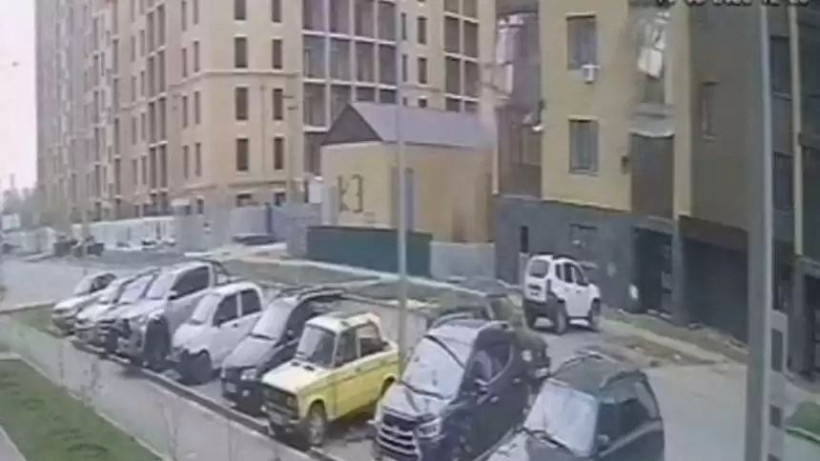  Видеодан кадр 