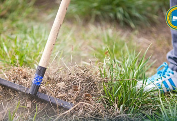 Челлендж «Жасыл мекен» пройдет одновременно во всех организациях образования 13 мая