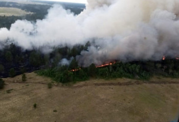 Орман өртенді: темекі тұқылын далаға тастаған ер адамға қылмыстық іс қозғалды