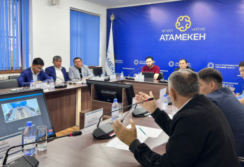 Түркістан облысында шаруалар субсидиялау жүйесінің кемшін тұстарын атады