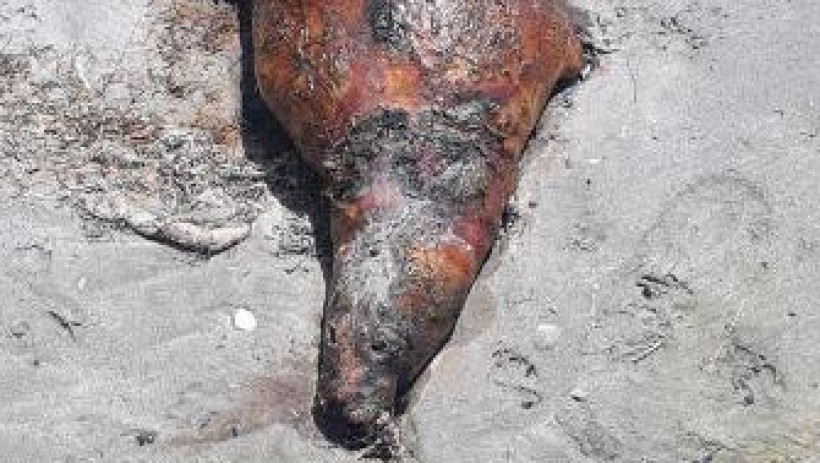  Пресс-служба Минэкологии РК 